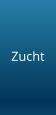 Zucht